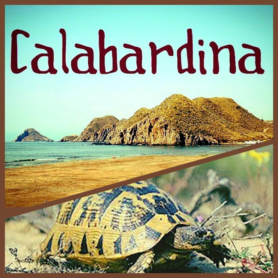 Apartmán Residencia Tortuga Mora Calabardina Exteriér fotografie